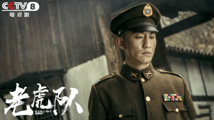老虎队剧情介绍(1-46集大结局)