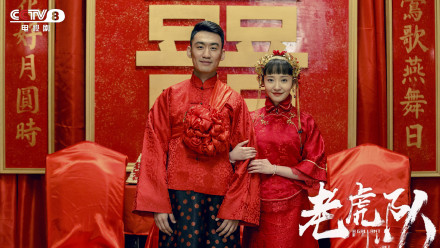 老虎队剧情介绍(1-46集大结局)