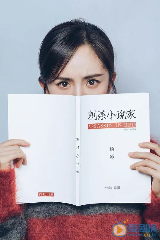 刺杀小说家