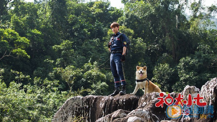 神犬小七3剧照