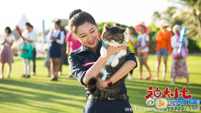 神犬小七3剧照