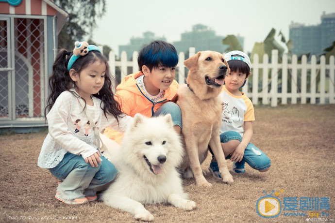 神犬小七3剧照