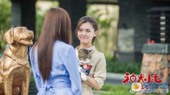 神犬小七3剧照