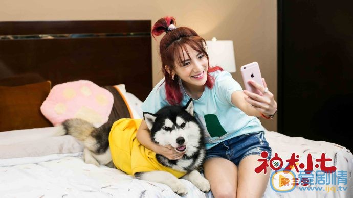 神犬小七3剧照
