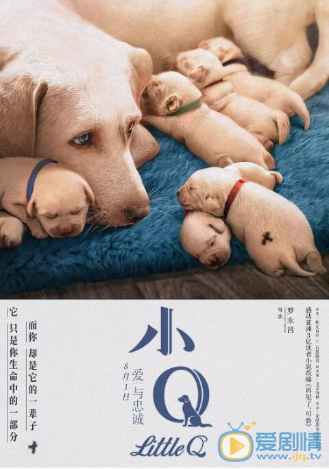 小Q海报
