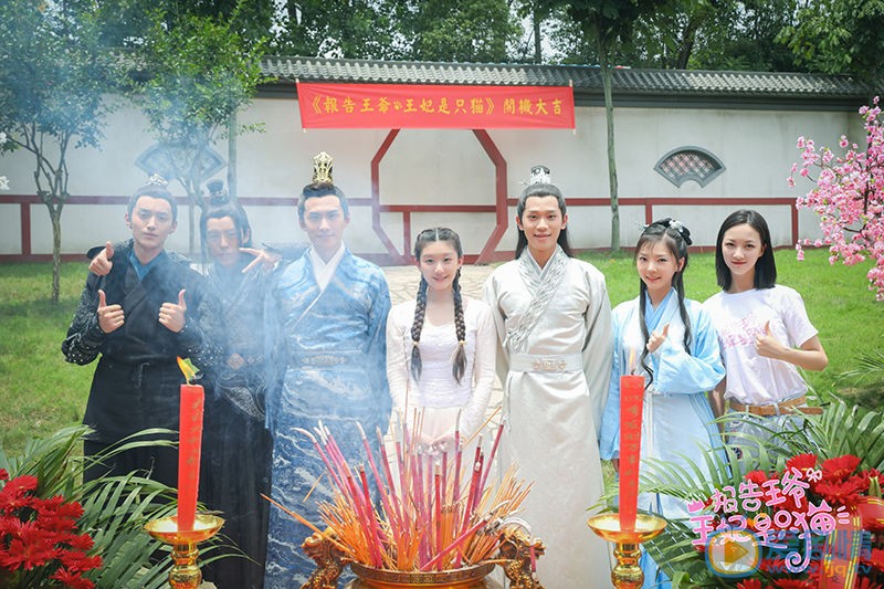 报告王爷王妃是只猫发布会