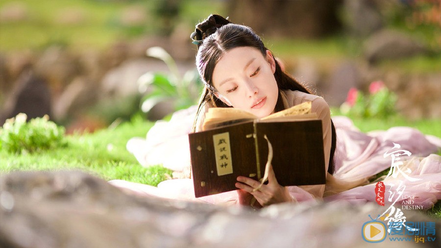 宸汐缘主要讲述的是什么？