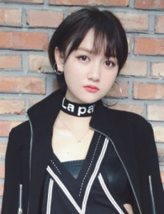 段家宝角色介绍