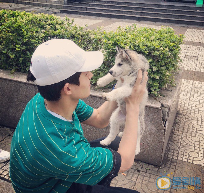 张猛日常生活照图片 张猛高清写真_张猛高清剧照