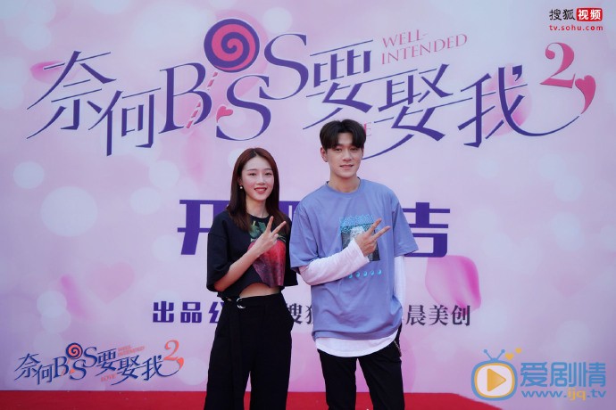 奈何boss要娶我2剧情介绍