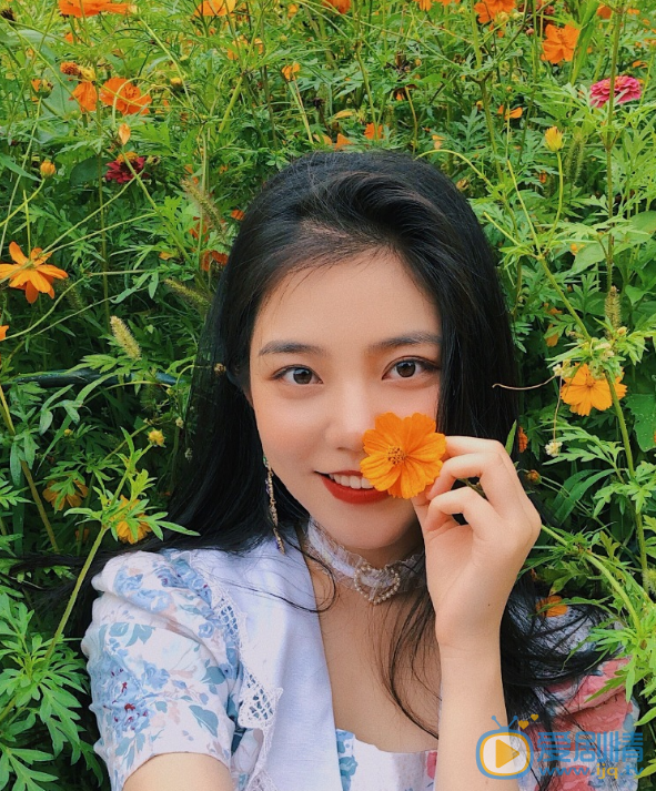 徐樱洛花丛写真