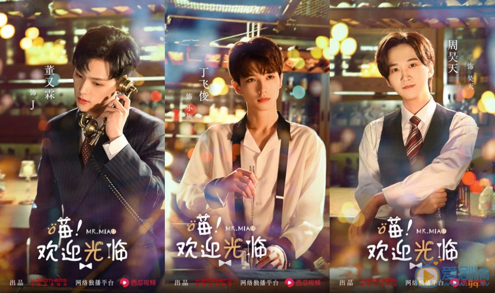 喵！欢迎光临剧情介绍