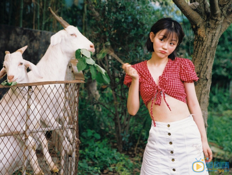 杨晗高清写真 杨晗高清写真_杨晗高清剧照