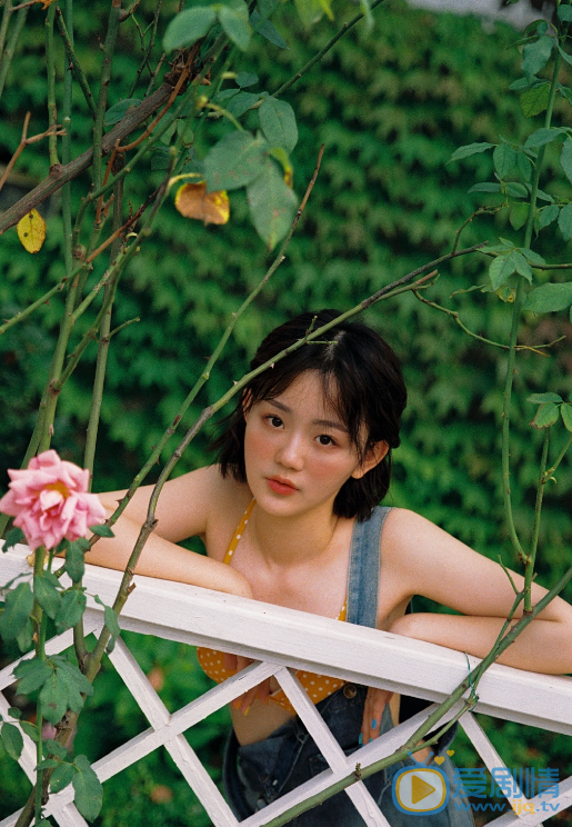 杨晗高清写真 杨晗高清写真_杨晗高清剧照