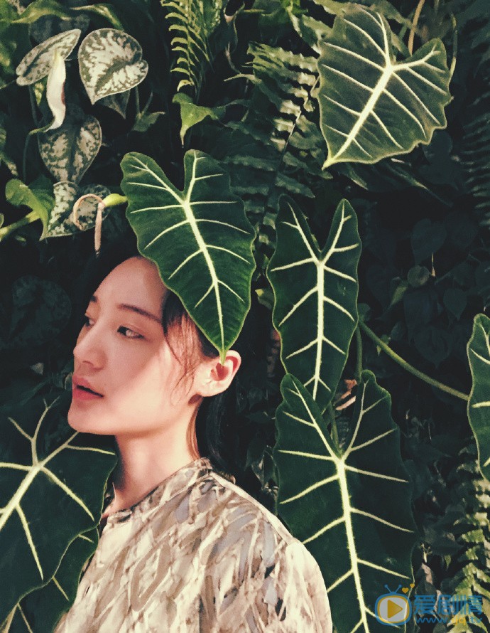 金梦阳子色彩大片 金梦阳子高清写真_金梦阳子高清剧照