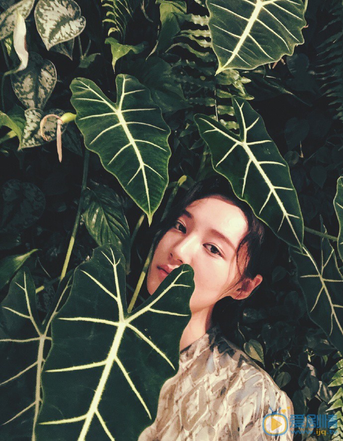 金梦阳子色彩大片 金梦阳子高清写真_金梦阳子高清剧照
