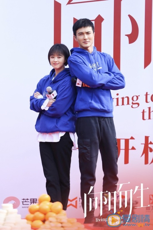 向阳而生剧情介绍