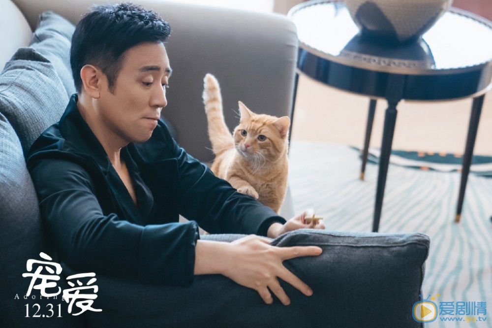《宠爱》电影剧情介绍