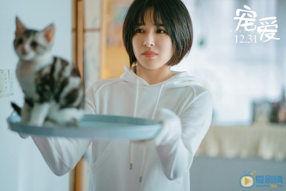 《宠爱》电影剧情介绍