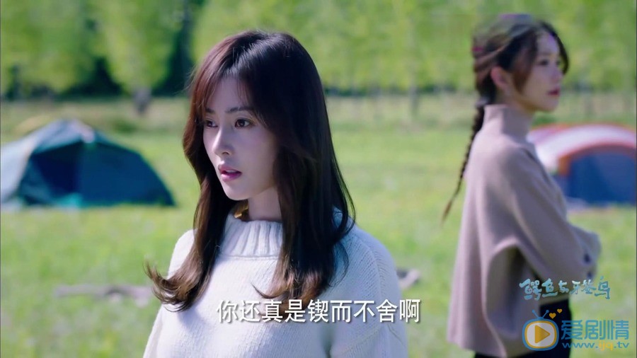 鳄鱼与牙签鸟剧情介绍(1-50集大结局)