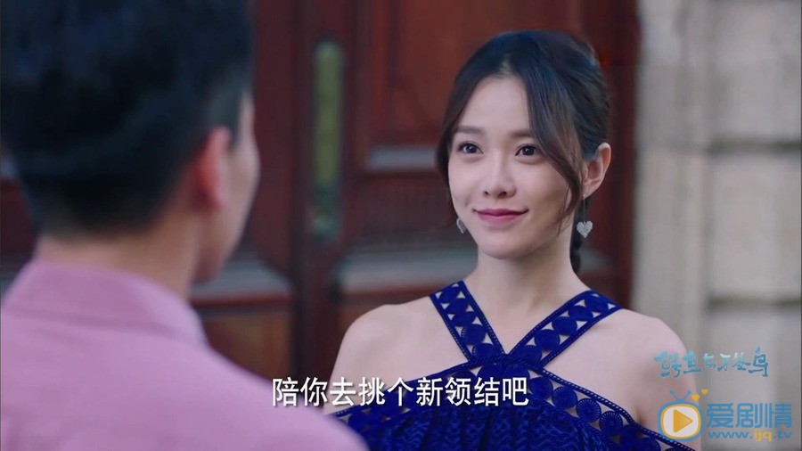 鳄鱼与牙签鸟剧情介绍(1-50集大结局)