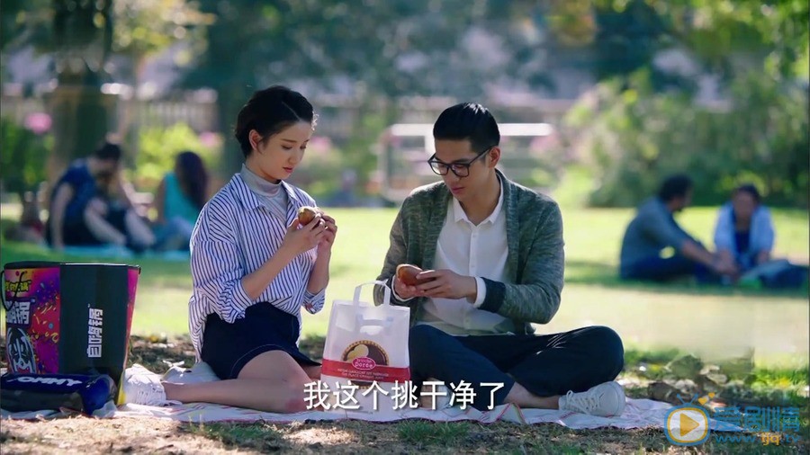 鳄鱼与牙签鸟剧情介绍(1-50集大结局)