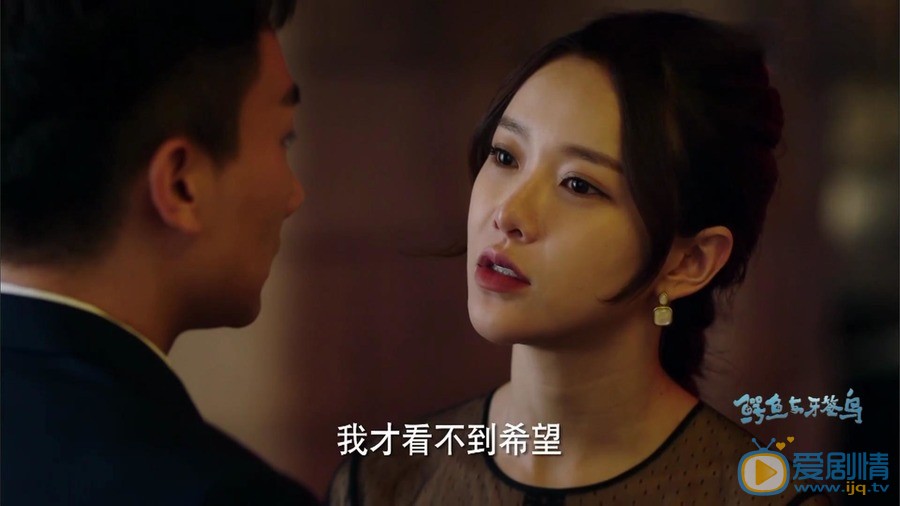 鳄鱼与牙签鸟剧照