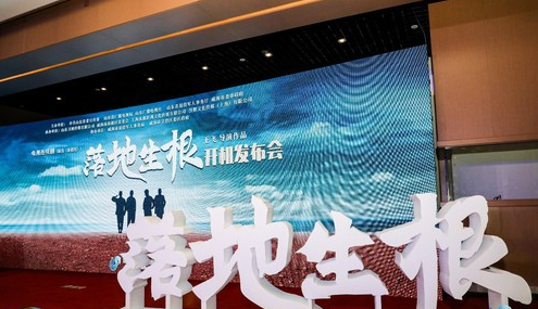 落地生根剧情介绍