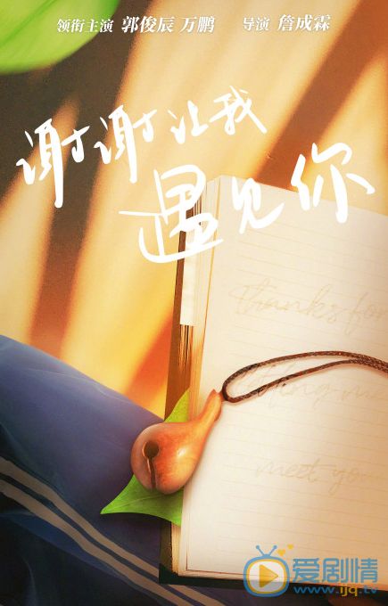 谢谢让我遇见你海报