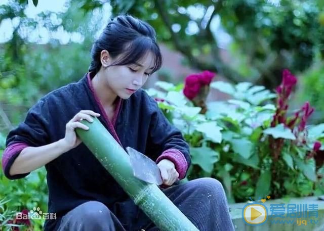 李子柒李子柒图片大全 李子柒高清写真_李子柒高清剧照