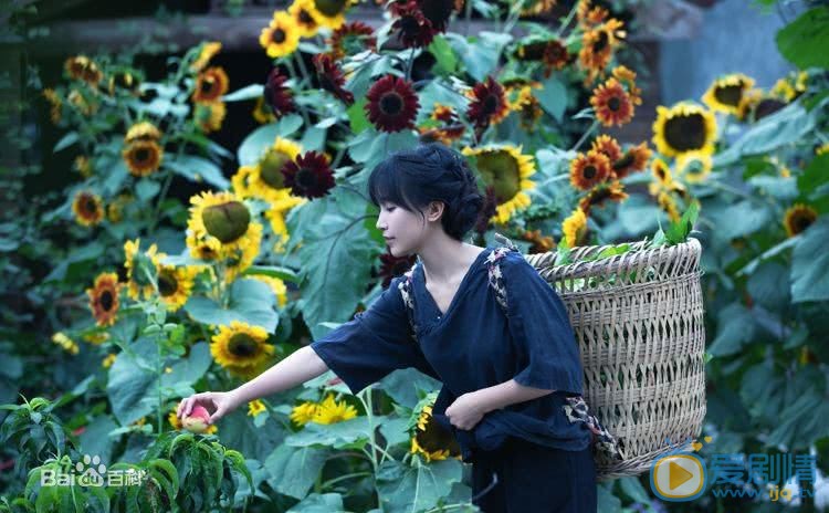 李子柒李子柒写真 李子柒高清写真_李子柒高清剧照