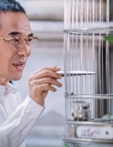 决胜法庭主要讲述的是什么？