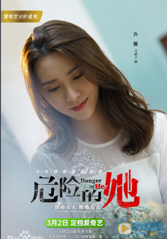 危险的她人物海报