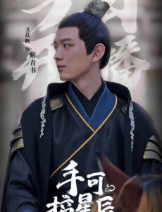 网剧《手可摘星辰 》主要讲述的是什么？