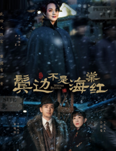 鬓边不是海棠红什么时候播出？在哪里播出？