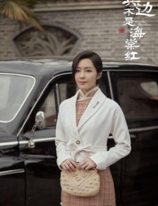 鬓边不是海棠红是根据小说改编的吗？改编自什么小说？