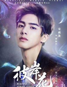 电视剧彼岸花什么时候播出？在哪里播出？