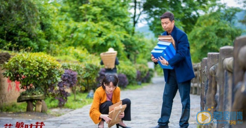 花繁叶茂什么时候播 花繁叶茂播出时间