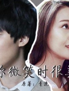 你微笑时很美主要讲述的是什么？