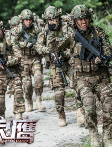 我是特种兵系列电影狼鹰高清完整版免费在线观看