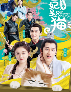 报告王爷王妃是只猫什么时候播出？在哪个平台播出？