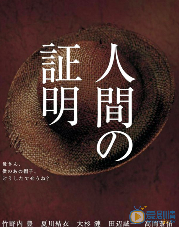 人间证明剧情介绍(1-16集大结局)
