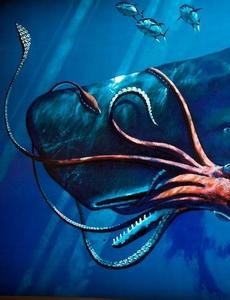 揭秘世界上最大的眼球：巨型鱿鱼（眼睛直径长达25厘米）