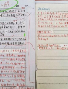 涉事教师承认曾掌掴坠楼小学生，有些人表层善解人意，可心里确是昏暗的