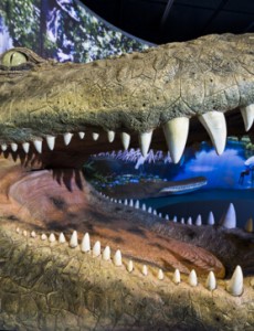 揭秘史前最大型鳄类动物：震惊！普鲁斯鳄秒杀霸王龙（长12米、居然重8.4吨）