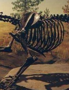 揭秘史上最凶残的猫科动物：异剑齿虎（生存在170万年前）不敢想象