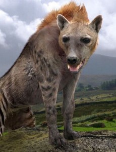 远古最强猛兽是什么：巨鬣狗重达300公斤太可怕（内附巨鬣狗vs剑齿虎照片）