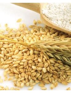 中国面粉品牌排行榜大盘点