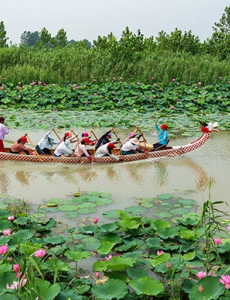 专家表明，今年的端午一些特别，今年端午节为21世纪并列最晚