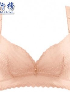 调整型内衣有哪些？调整型内衣十大品牌排行榜